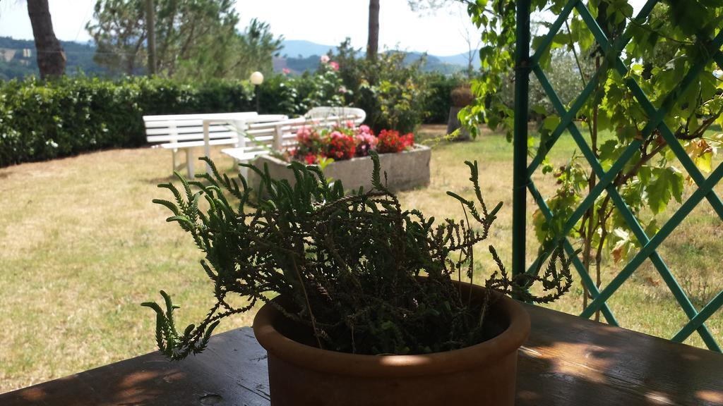 Ponteginori Agriturismo Il Catrino מראה חיצוני תמונה