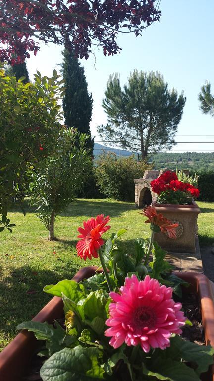 Ponteginori Agriturismo Il Catrino מראה חיצוני תמונה