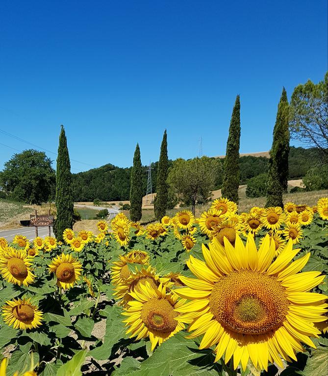 Ponteginori Agriturismo Il Catrino מראה חיצוני תמונה