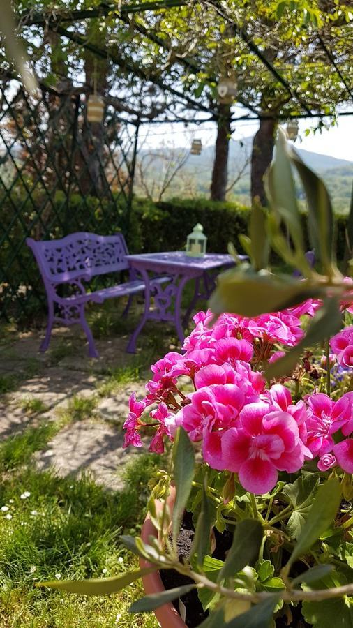 Ponteginori Agriturismo Il Catrino מראה חיצוני תמונה