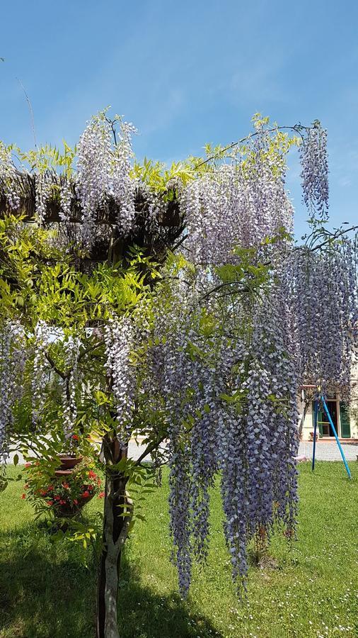 Ponteginori Agriturismo Il Catrino מראה חיצוני תמונה